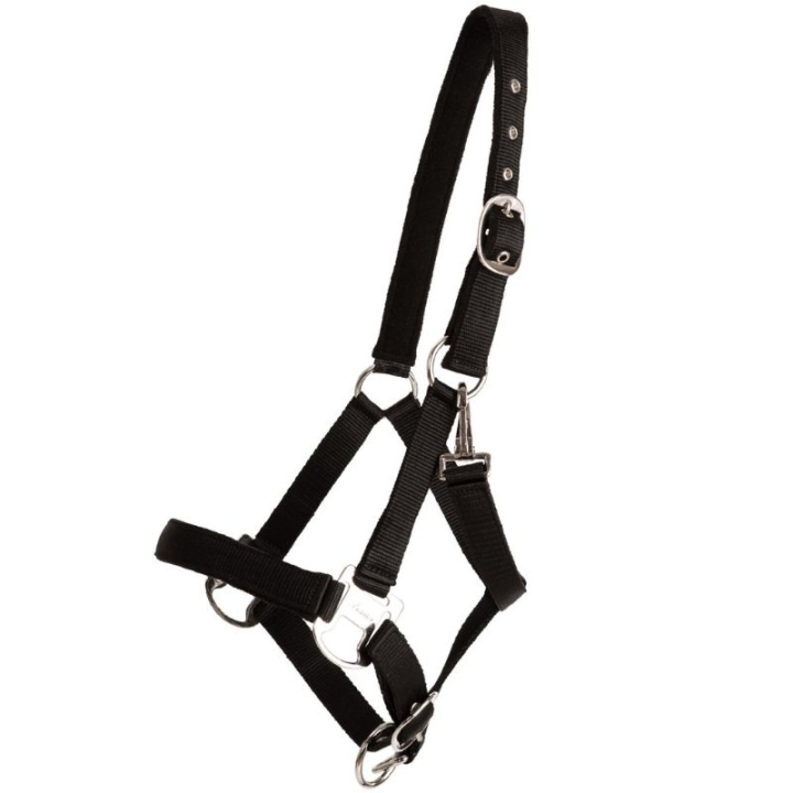 Licol Double Buckle Noir dans le groupe Équipement cheval / Licols / Longes en tissu et en nylon chez Equinest (246212BA_r)