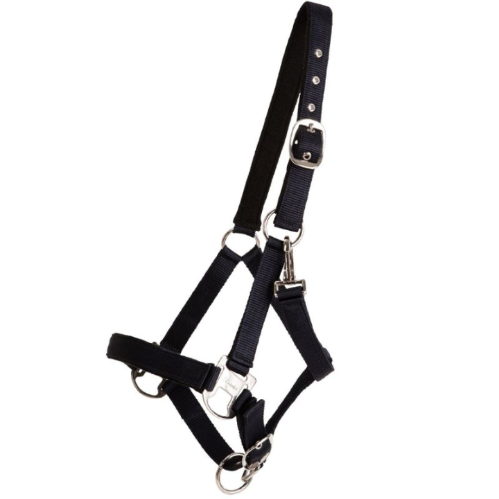 Licol Double Buckle Bleu Marine dans le groupe Équipement cheval / Licols / Longes en tissu et en nylon chez Equinest (246222NA_r)