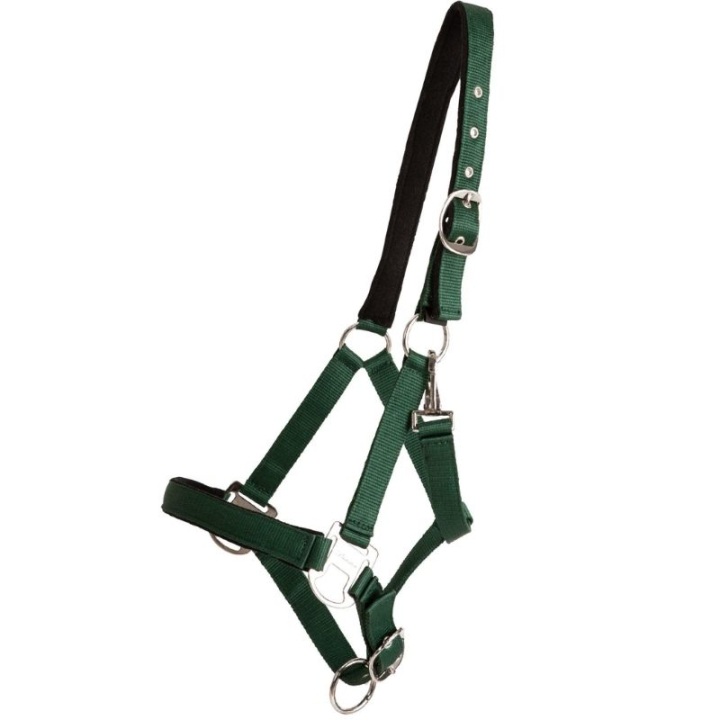 Licol Double Buckle Vert dans le groupe Équipement cheval / Licols / Longes en tissu et en nylon chez Equinest (246232GN_r)