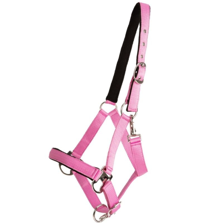 Licol Double Buckle Rose dans le groupe Équipement cheval / Licols / Longes en tissu et en nylon chez Equinest (246262PI_r)