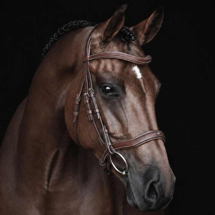 Bridon anatomique Eccelente Marron dans le groupe Équipement cheval / Briderie & Frontaux / Brides chez Equinest (260653BR_r)