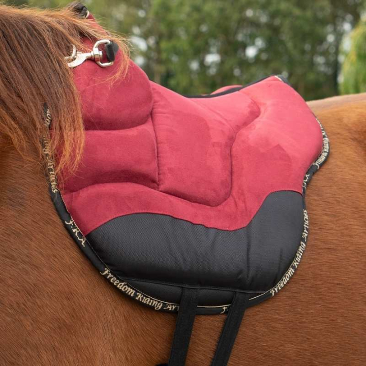 Tapis de monte à cru Dardo Basic Bordeaux dans le groupe Équipement cheval / Selles & Tapis de monte à cru chez Equinest (2700412112WN)