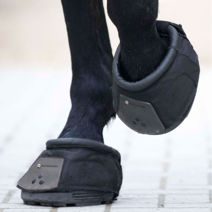 Hipposandale Therapy & Protection Noir dans le groupe Équipement cheval / Hipposandales & Accessoires chez Equinest (2810014BA_r)
