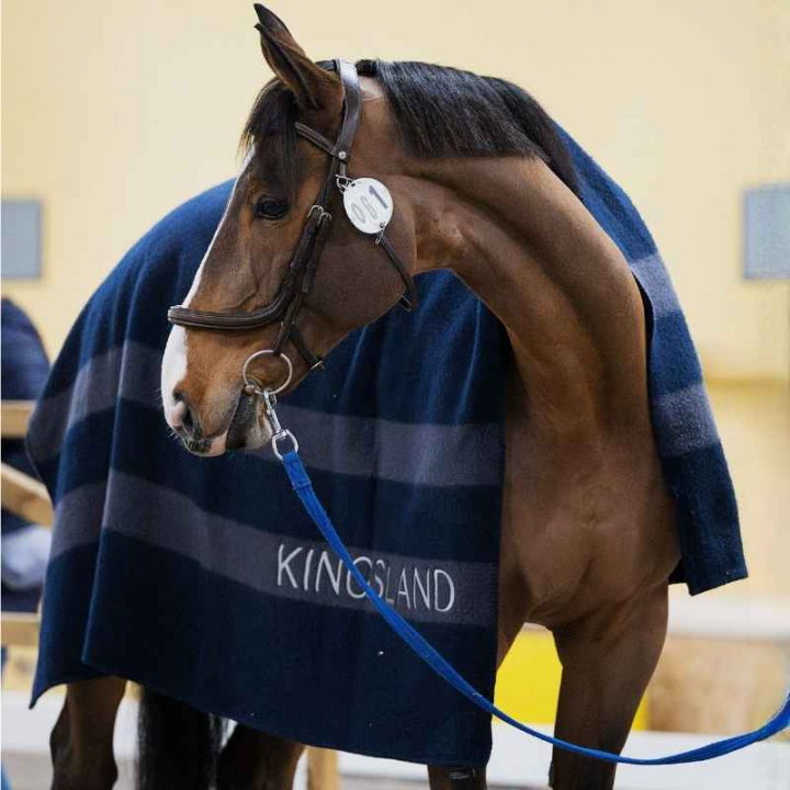 Couverture en laine Classic Bleu Marine dans le groupe Couvertures cheval / Couvertures en Laine chez Equinest (3156260202031NA)