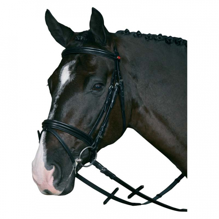 Bridon anatomique HG avec rênes noir dans le groupe Équipement cheval / Briderie & Frontaux / Brides chez Equinest (31570BA)