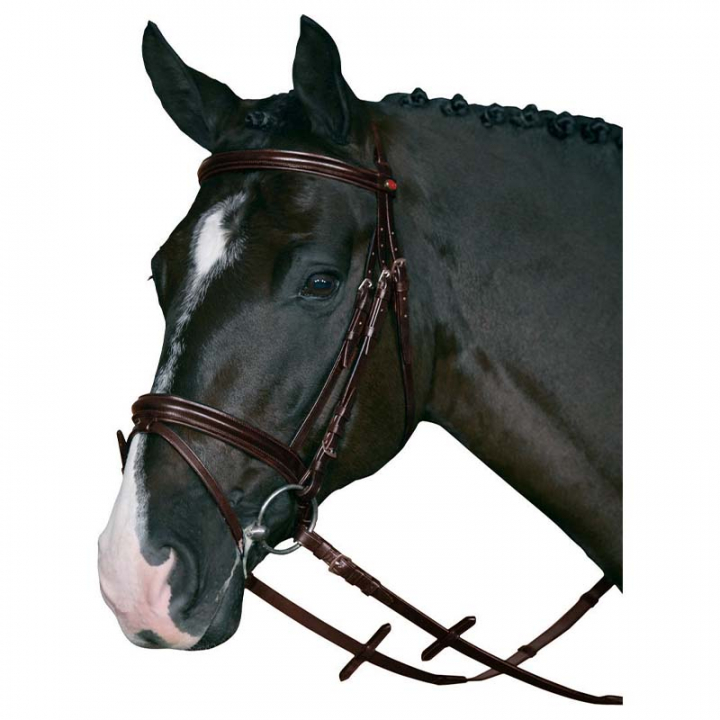 Bridon anatomique HG avec rênes marron dans le groupe Équipement cheval / Briderie & Frontaux / Brides chez Equinest (31570BR)