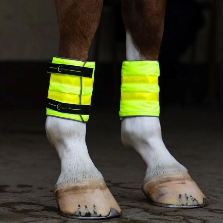 Réflecteur de jambe Reflective 2-pack Jaune dans le groupe Équipement d'équitation / Réflecteurs chez Equinest (3232448YE)