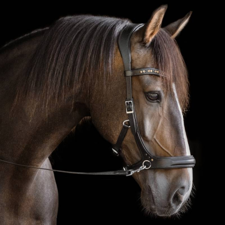 Bridon sans mors Moonlight Sidepull Noir dans le groupe Équipement cheval / Briderie & Frontaux / Hackamores & Bridons sans mors chez Equinest (3330841817BA_r)