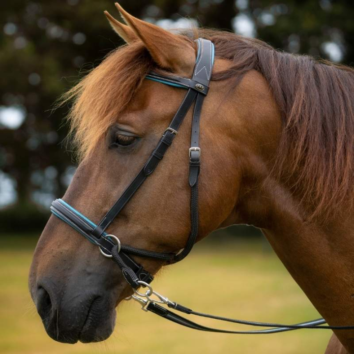 Bridon sans mors Dietsji Cross-Under Noir/Bleu dans le groupe Équipement cheval / Briderie & Frontaux / Hackamores & Bridons sans mors chez Equinest (3351221724BABL_r)