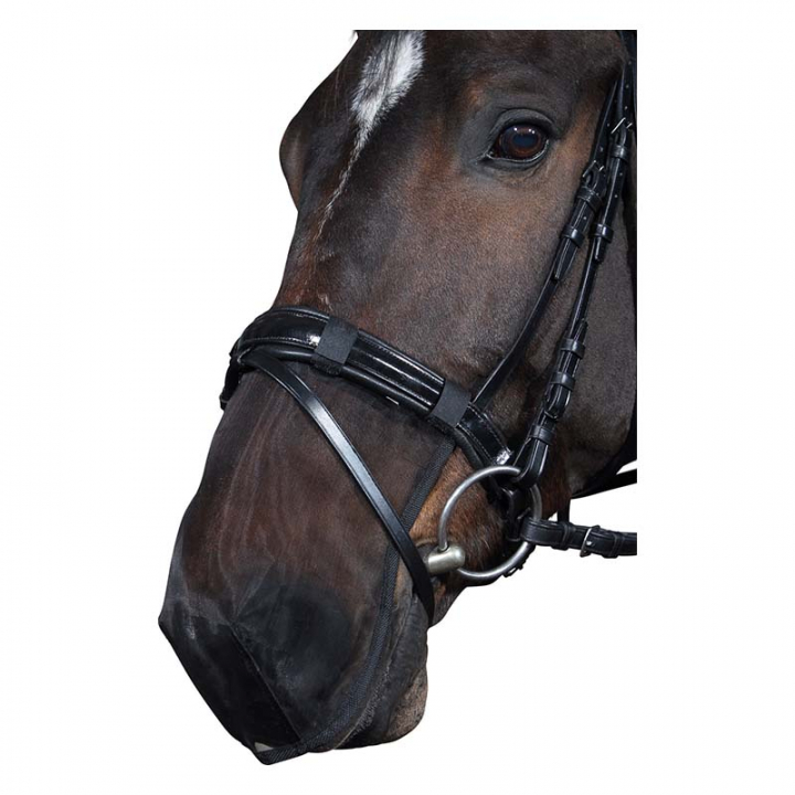 Protège-glomes en filet HG Noir dans le groupe Équipement cheval / Briderie & Frontaux / Accessoires de briderie chez Equinest (33760BA)