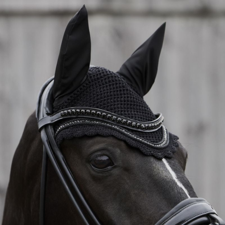 Bonnet Crystal Noir dans le groupe Équipement cheval / Bonnet cheval chez Equinest (34050038BA_r)