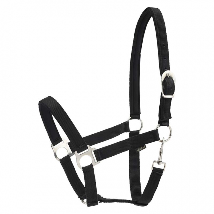 Licol HG Noir dans le groupe Équipement cheval / Licols / Longes en tissu et en nylon chez Equinest (36730BA)
