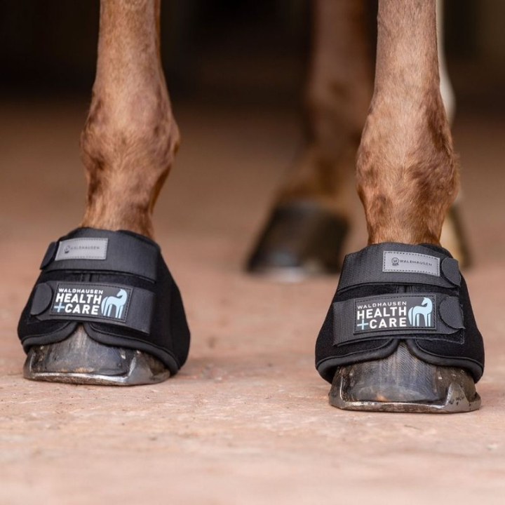 Cloches rafraîchissantes Cooling Noir dans le groupe Équipement cheval / Protections des Membres / Cloches  chez Equinest (3753101SBA_r)