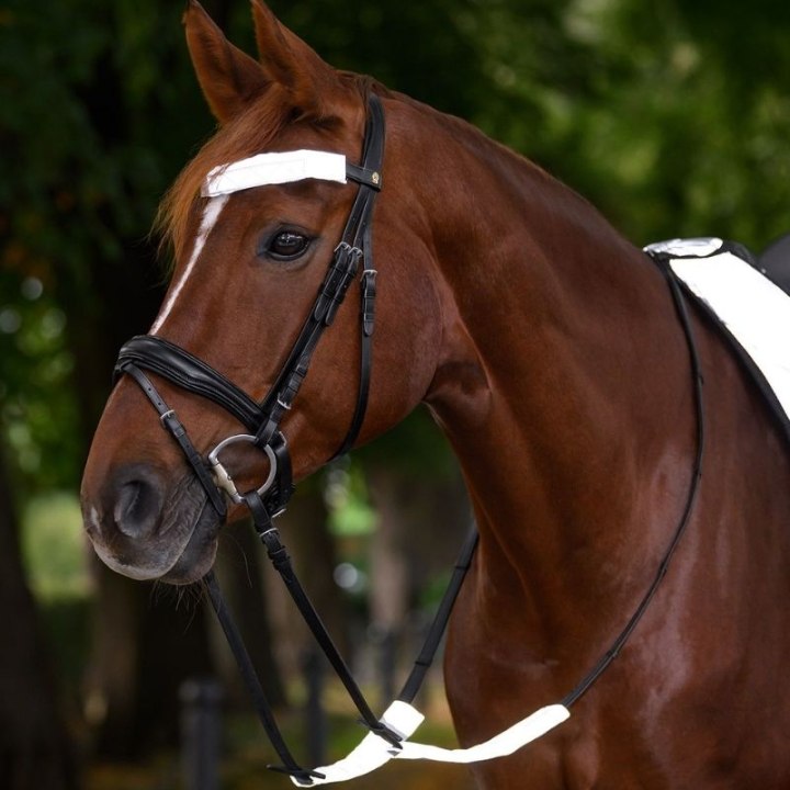 Réflecteurs pour bridon Set 3-pack Argent dans le groupe Équipement d'équitation / Réflecteurs chez Equinest (380511SI)