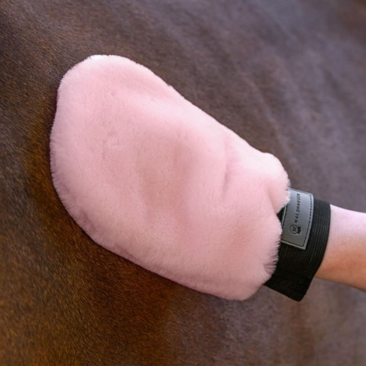 Gant de pansage Lucky Lambskin Rose dans le groupe Produits de soins / Brosses et étrilles / Gants de toilettage chez Equinest (3835732PI)