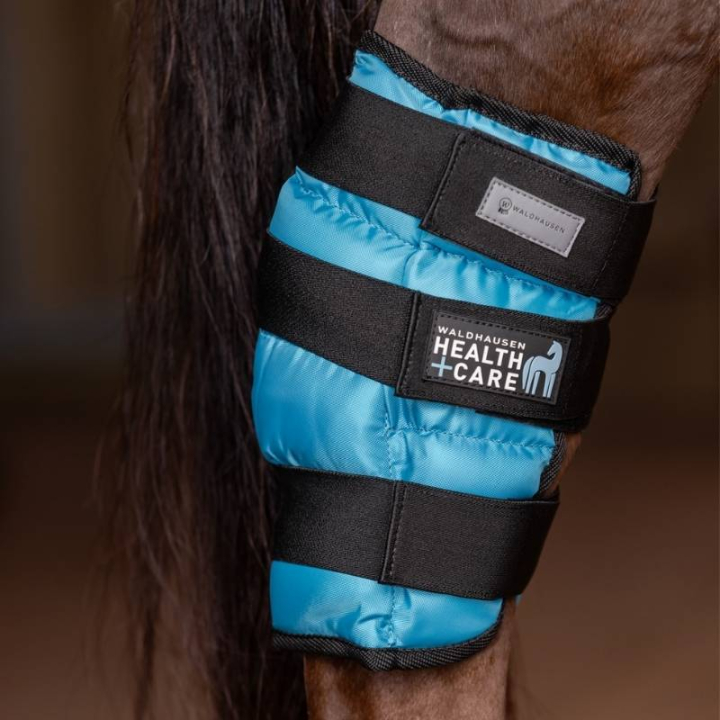 Guêtre rafraîchissante de jarret Cooling Gel Bleu Full dans le groupe Équipement cheval / Protections des Membres / Guêtres de froid chez Equinest (3863157WBL-FU)