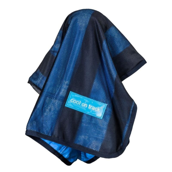 Serviette rafraîchissante Cool on Track Bleu dans le groupe Chien / Paniers, Coussins & Couvertures pour chien chez Equinest (42010303BL_r)