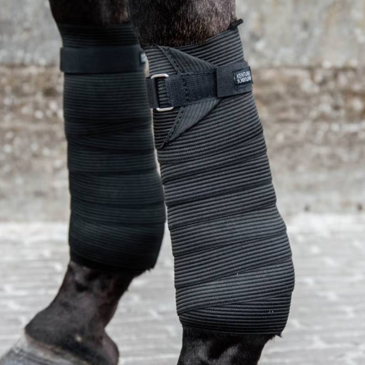 Bandages Elastic Noir dans le groupe Équipement cheval / Protections des Membres / Bandages chez Equinest (42107BA)