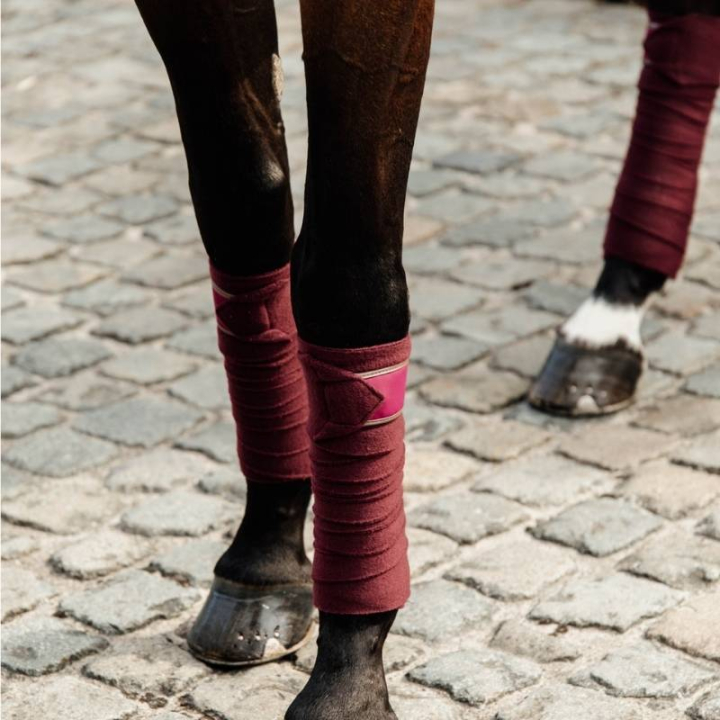 Bandages en polaire Polar 4-pack Bordeaux dans le groupe Équipement cheval / Protections des Membres / Bandages chez Equinest (42111BO)