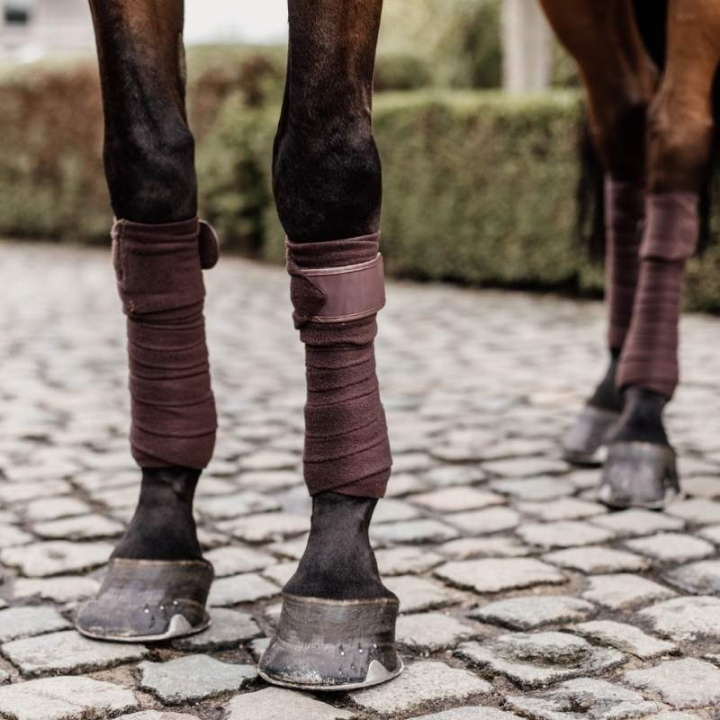Bandages en polaire Polar 4-pack Marron dans le groupe Équipement cheval / Protections des Membres / Bandages chez Equinest (42111BR)