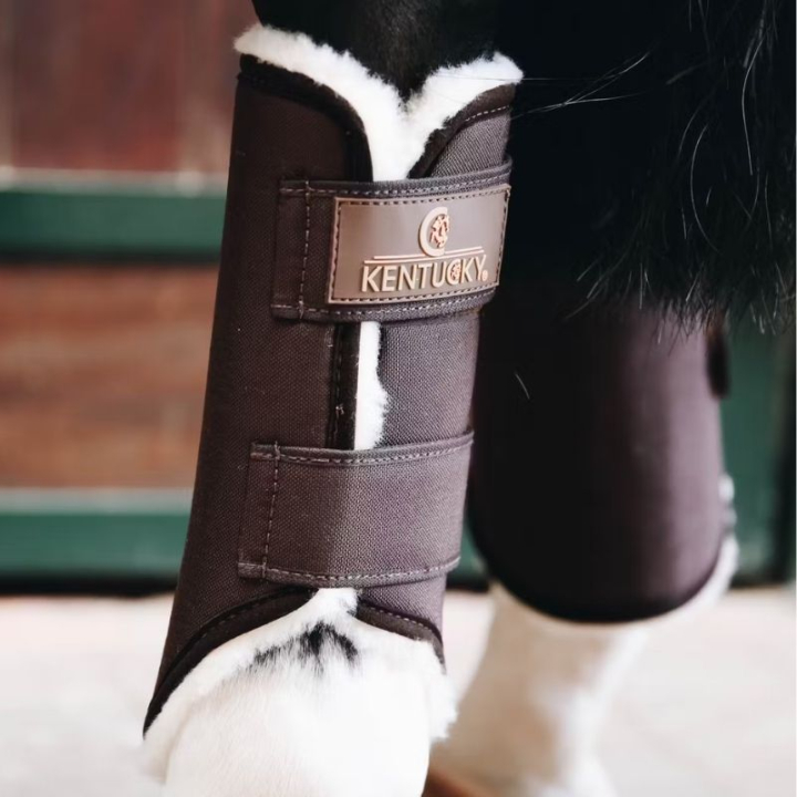 Guêtres fermées Solimbra Dos Brun dans le groupe Équipement cheval / Protections des Membres / Guêtres fermées & Guêtres de dressage chez Equinest (42302Br_r)