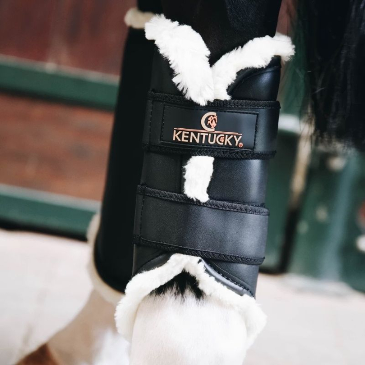 Guêtres Leather Hind Noir dans le groupe Équipement cheval / Protections des Membres / Guêtres fermées & Guêtres de dressage chez Equinest (4230401FBA_r)