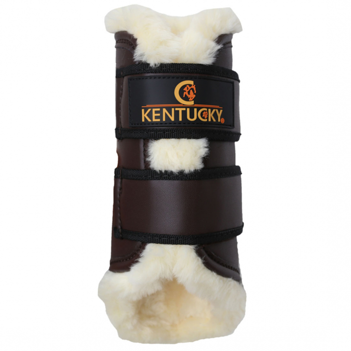 Guêtres Leather Hind Marron dans le groupe Équipement cheval / Protections des Membres / Guêtres fermées & Guêtres de dressage chez Equinest (4230405FBR_r)