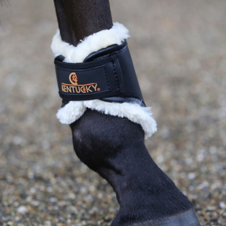 Guêtres Leather Hind Short Noir dans le groupe Équipement cheval / Protections des Membres / Guêtres fermées & Guêtres de dressage chez Equinest (4230501FBA_r)
