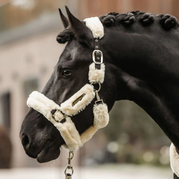 Licou de Transport en Peau de Mouton Naturel dans le groupe Équipement cheval / Licols / Longes en tissu et en nylon chez Equinest (42502Na_r)