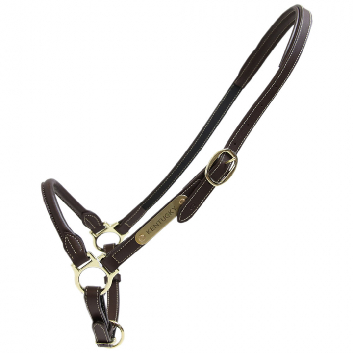 Halter de toilettage Artificial Leather Marron dans le groupe Équipement cheval / Licols / Longes en cuir chez Equinest (4251205COBBR_r)