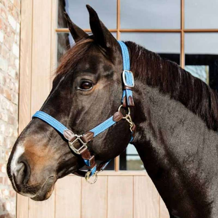 Licol Plaited Nylon Bleu Clair dans le groupe Équipement cheval / Licols / Longes en tissu et en nylon chez Equinest (4251661COBLBL_r)