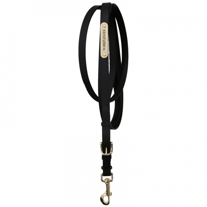 Halter en cuir Presentation Artificial Noir dans le groupe Équipement cheval / Longes et longes de transport / Longes de transport en cuir chez Equinest (425270103BA)