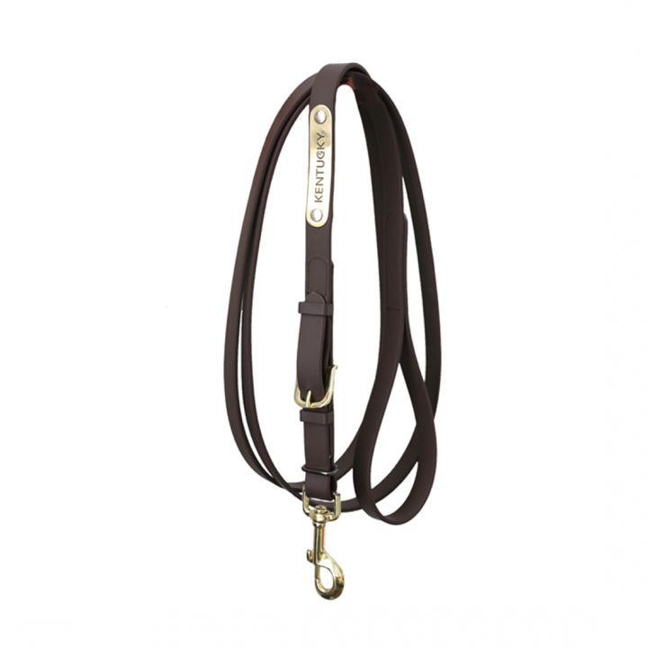Halter en cuir Presentation Artificial Marron dans le groupe Équipement cheval / Longes et longes de transport / Longes de transport en cuir chez Equinest (425270503BR)