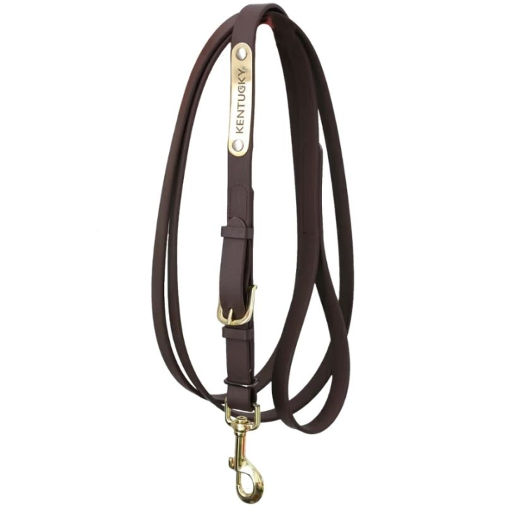 Longe de Présentation Artificial Leather Marron dans le groupe Équipement cheval / Longes et longes de transport / Longes de transport en cuir chez Equinest (425270503BR)