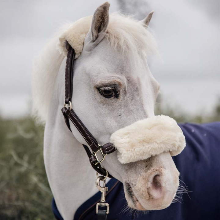 Halter en cuir Pony Artificial Sheepskin Marron dans le groupe Équipement cheval / Licols / Longes en cuir chez Equinest (4254105PBR)