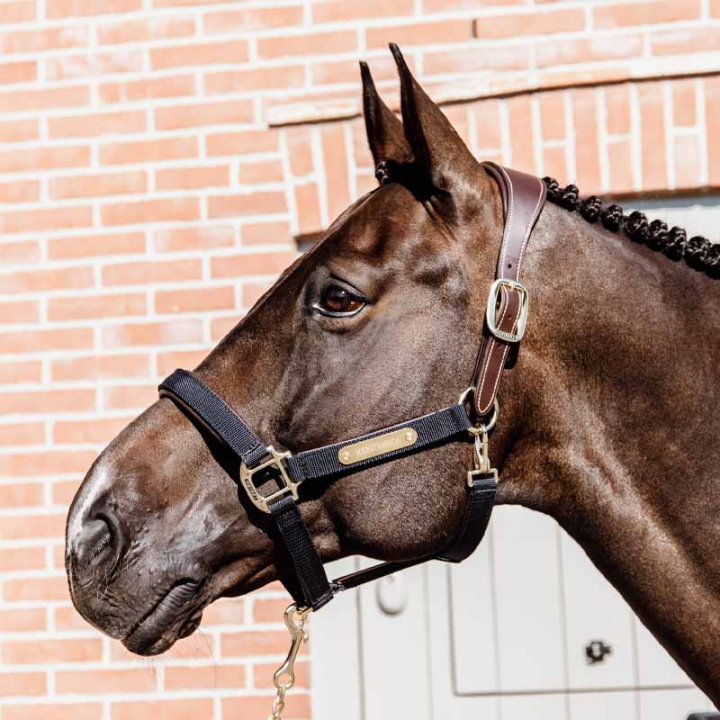 Licol Anatomic Nylon Bleu Marine dans le groupe Équipement cheval / Licols / Longes en tissu et en nylon chez Equinest (4256003COBNA_r)