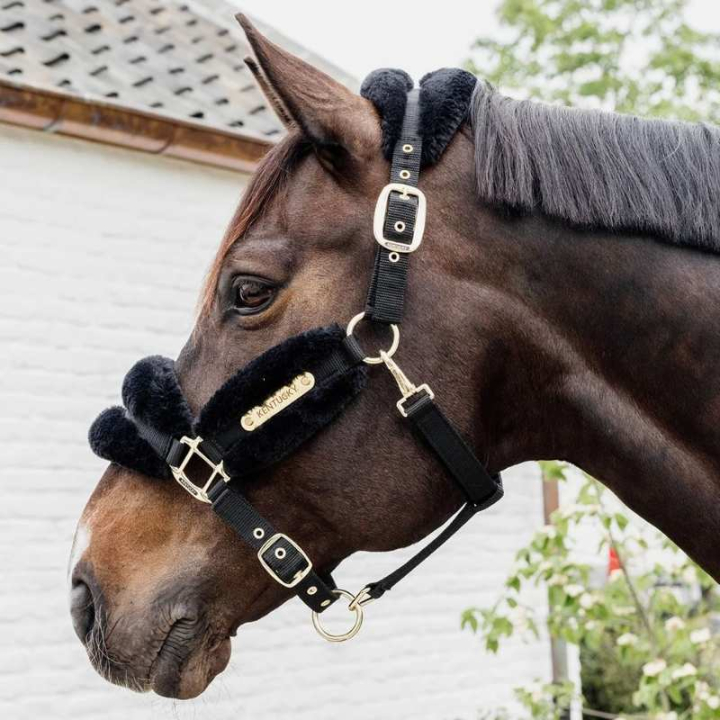 Licol Sheepskin Soft Noir dans le groupe Équipement cheval / Licols / Longes en tissu et en nylon chez Equinest (4256501COBBA_r)