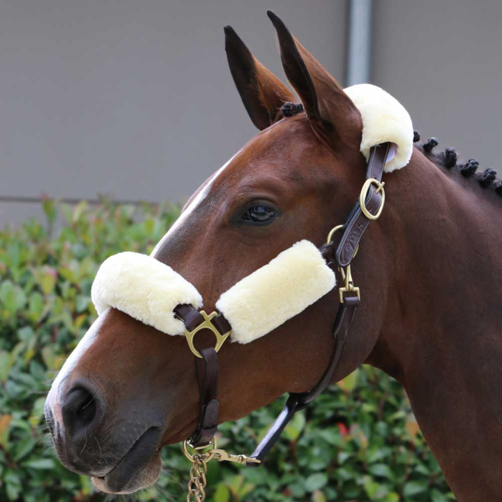 Ensemble peau de mouton pour licol Naturel dans le groupe Équipement cheval / Briderie & Frontaux / Protège-nez et protège-nuque chez Equinest (42603NA)