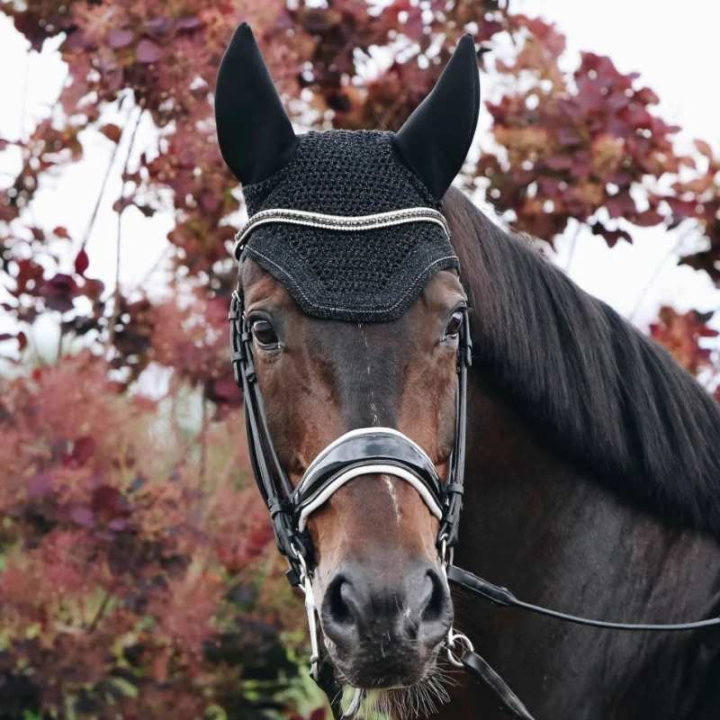 Bonnet Wellington Sparkling Soundless Noir dans le groupe Équipement cheval / Bonnet cheval chez Equinest (4261101FBA_r)
