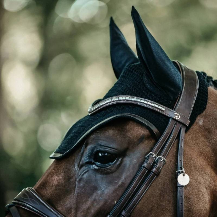 Bonnet Wellington Leather Noir dans le groupe Équipement cheval / Bonnet cheval chez Equinest (4261201FBA_r)