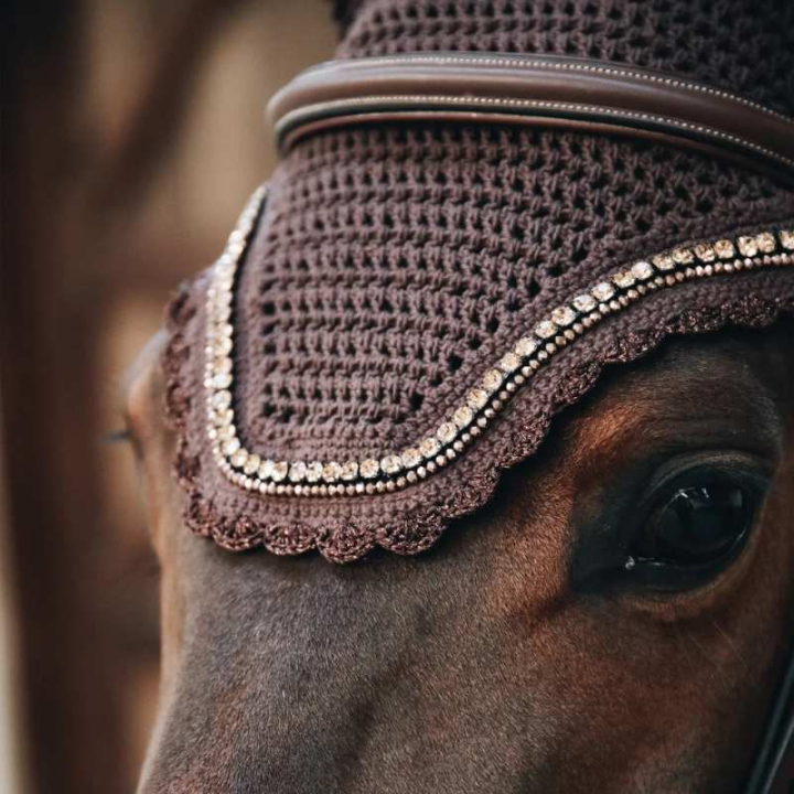 Bonnet Wellington Pierre & Perle Marron Foncé dans le groupe Équipement cheval / Bonnet cheval chez Equinest (4261408BR)