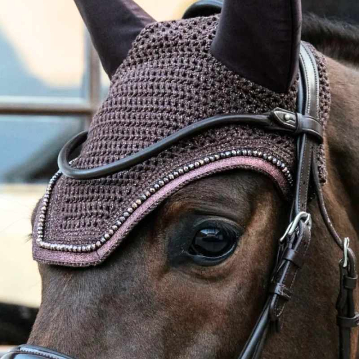 Bonnet Wellington Glitter Marron dans le groupe Équipement cheval / Bonnet cheval chez Equinest (4261805FBR_r)