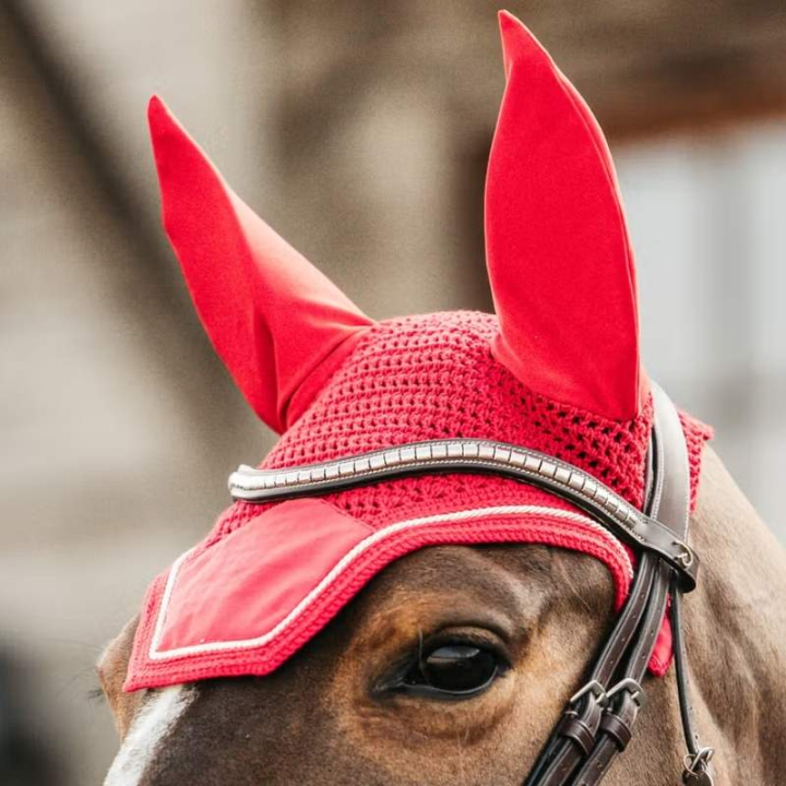 Bonnet Wellington Velvet Rouge dans le groupe Équipement cheval / Bonnet cheval chez Equinest (4262613PRE_r)