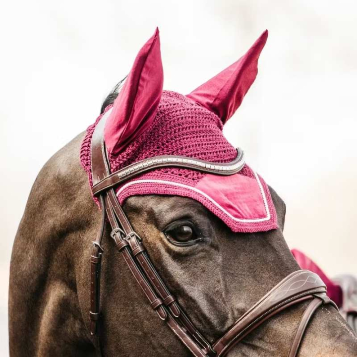 Bonnet Wellington Velvet Fuchsia dans le groupe Équipement cheval / Bonnet cheval chez Equinest (4262616FFU_r)