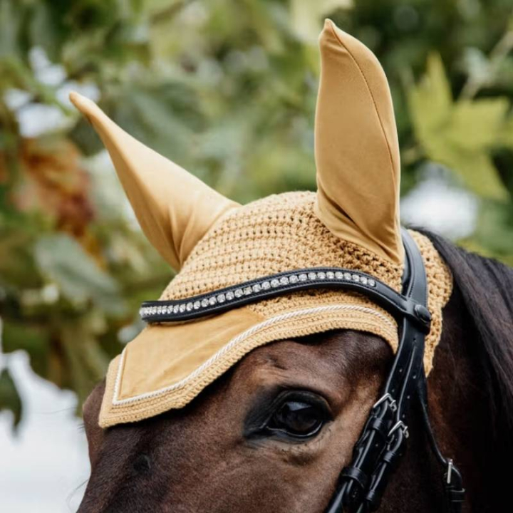Bonnet Wellington Velvet Moutarde dans le groupe Équipement cheval / Bonnet cheval chez Equinest (4262644FYE_r)