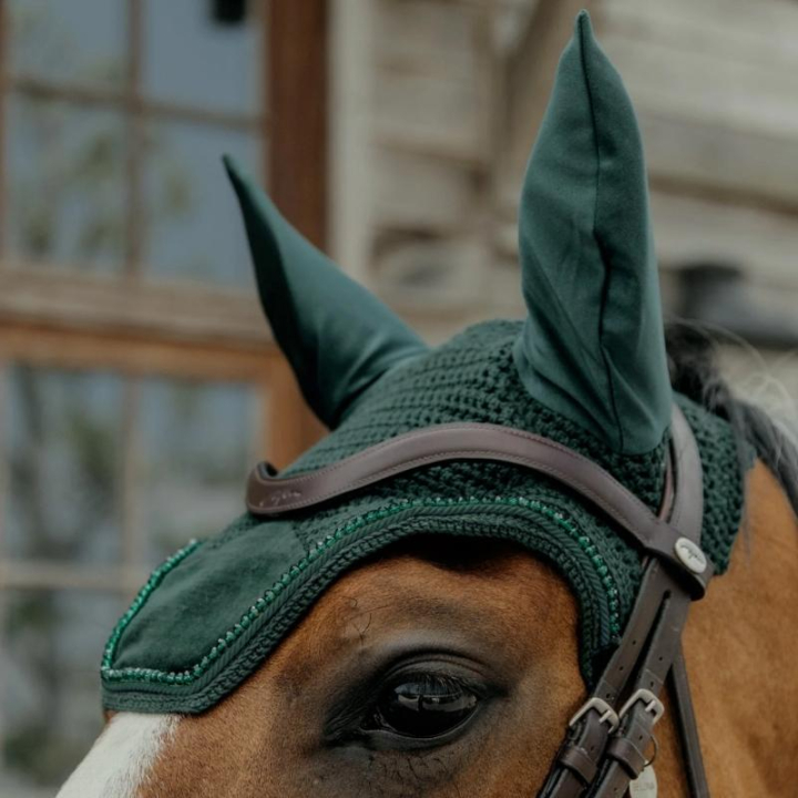 Bonnet Wellington Velours Perles Vert dans le groupe Équipement cheval / Bonnet cheval chez Equinest (4262903PGN)