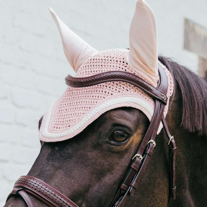 Bonnet Wellington Plaited Cord Rose pâle dans le groupe Équipement cheval / Bonnet cheval chez Equinest (4265950FLPI_r)