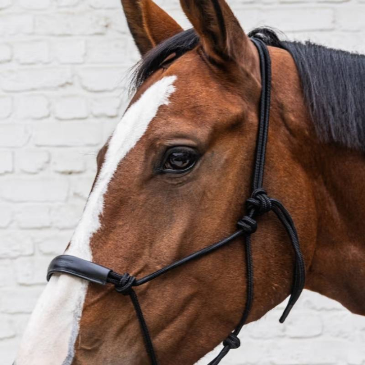 Licols en corde Grooming Deluxe Noir dans le groupe Équipement cheval / Licols / Longes pour poulains chez Equinest (4268601COBBA_r)