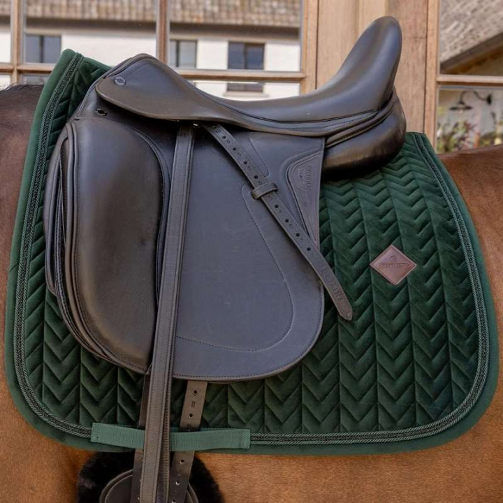 Tapis de selle dressage Velvet Mini Pearls Vert dans le groupe Équipement cheval / Tapis de selle / Tapis de selle dressage chez Equinest (4275074DRGN_r)