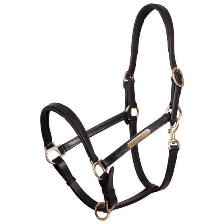 Filet en Cuir Rembourré Noir/Laiton dans le groupe Équipement cheval / Licols / Longes en cuir chez Equinest (431108BA)